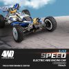 WLToys 124017 2.4G 1:12 Brushless 4wd 75Km/h RC racing car RTR