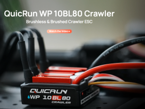 Hobbywing 30108002 QUICRUN WP-10BL80-Crawler
